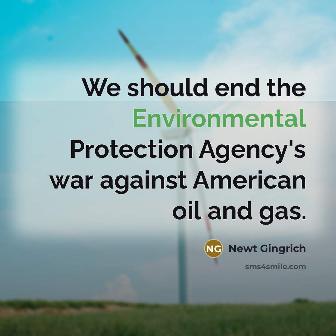 “We should end the Environmental Protection Agency's war against American…” quote by Newt Gingrich
