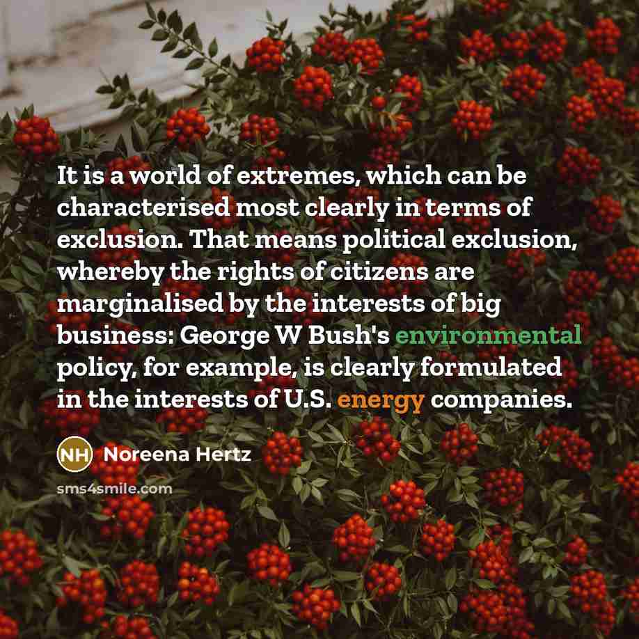 “It is a world of extremes, which can be characterised…” quote by Noreena Hertz