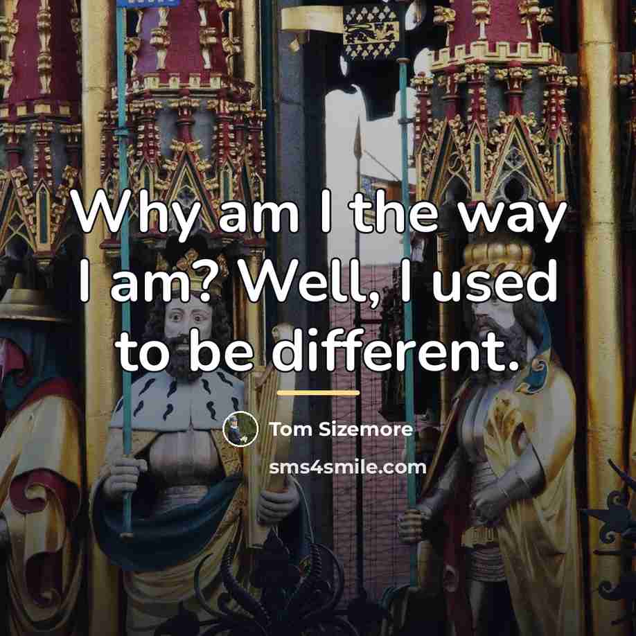 “Why am I the way I am? Well, I used…” quote by Tom Sizemore