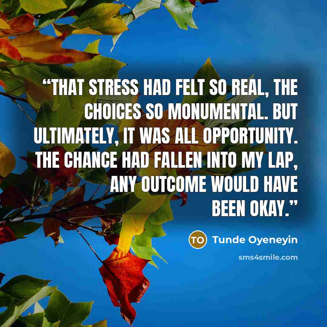 “That stress had felt so real, the choices so monumental. But ultimately, it was all opportunity. The chance had fallen into my lap, any outcome would have been okay.” quote by Tunde Oyeneyin