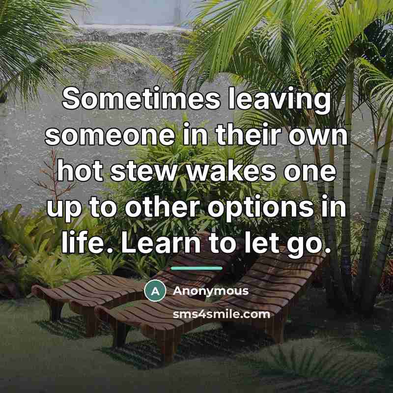 “Sometimes leaving someone in their own hot stew wakes one up to other options in life. Learn to let go.” quote by Anonymous