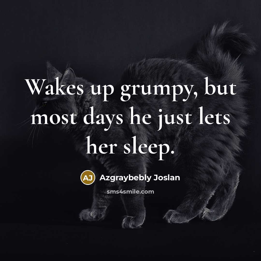 “Wakes up grumpy, but most days he just lets her…” quote by Azgraybebly Joslan