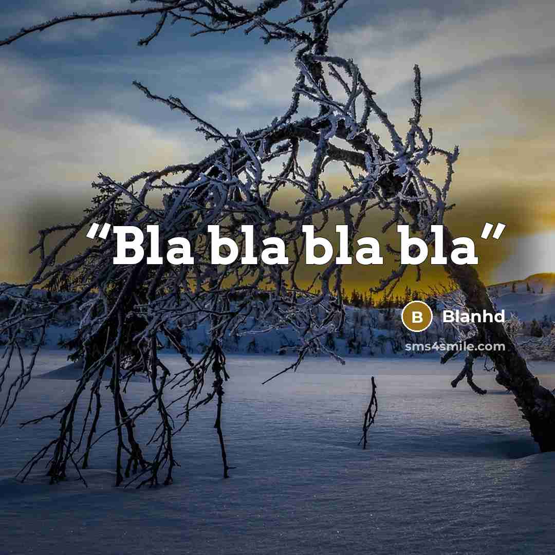 “Bla bla bla bla” quote by Blanhd