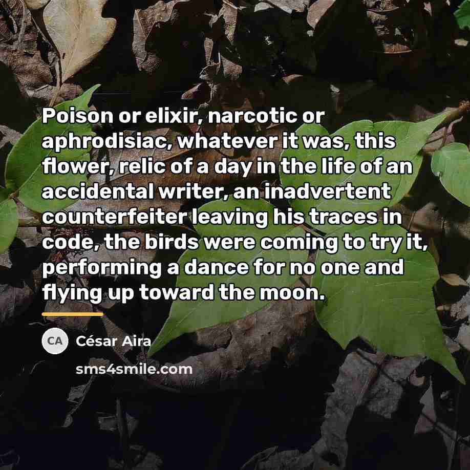 “Poison or elixir, narcotic or aphrodisiac, whatever it was, this…” quote by Cesar Aira