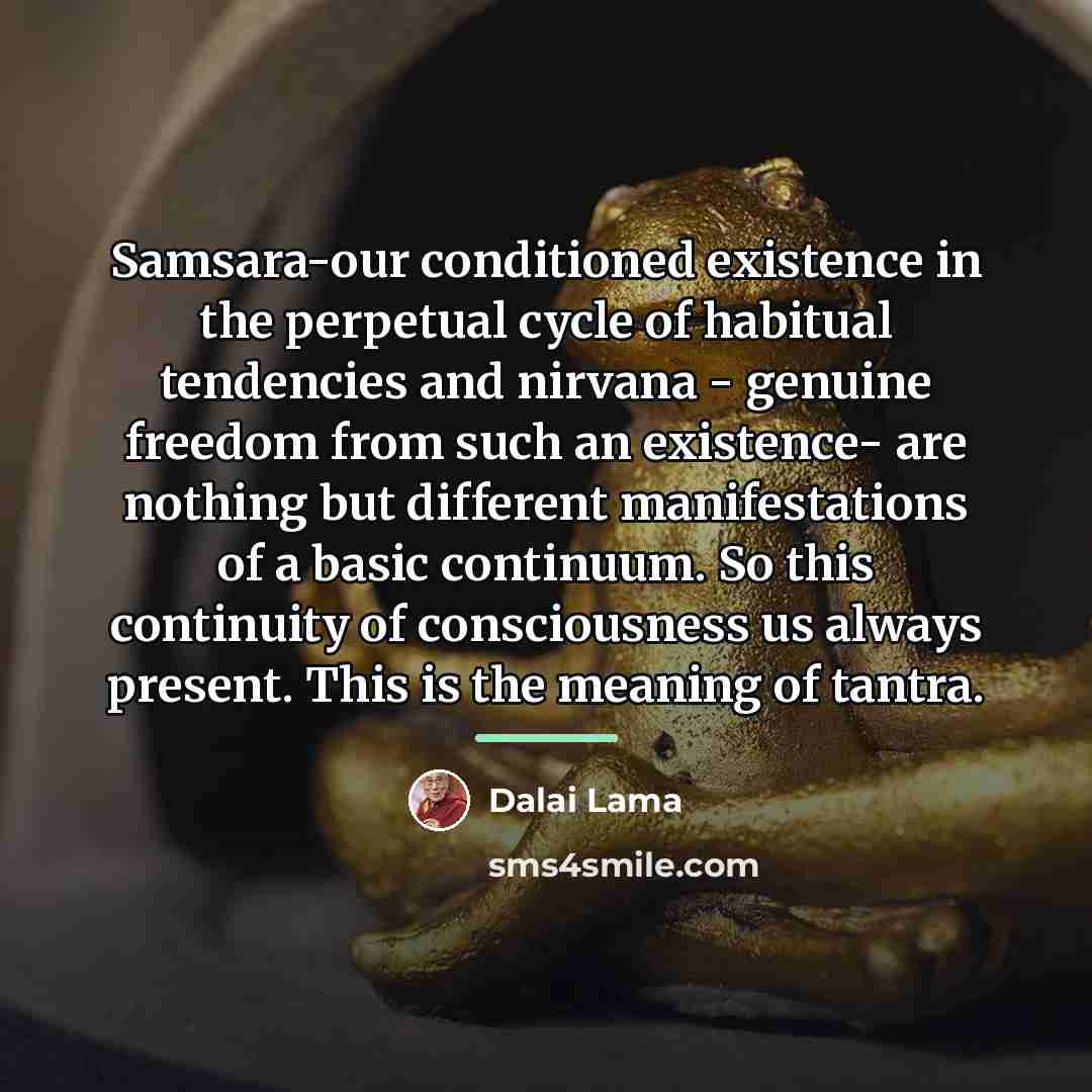 “Samsara-our conditioned existence in the perpetual cycle of habitual tendencies…” quote by Dalai Lama