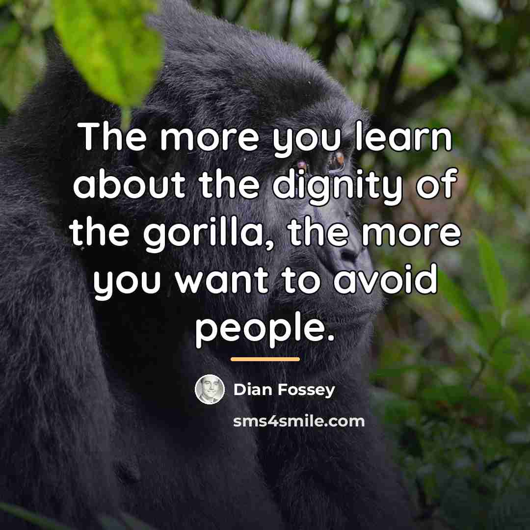 “The more you learn about the dignity of the gorilla,…” quote by Dian Fossey