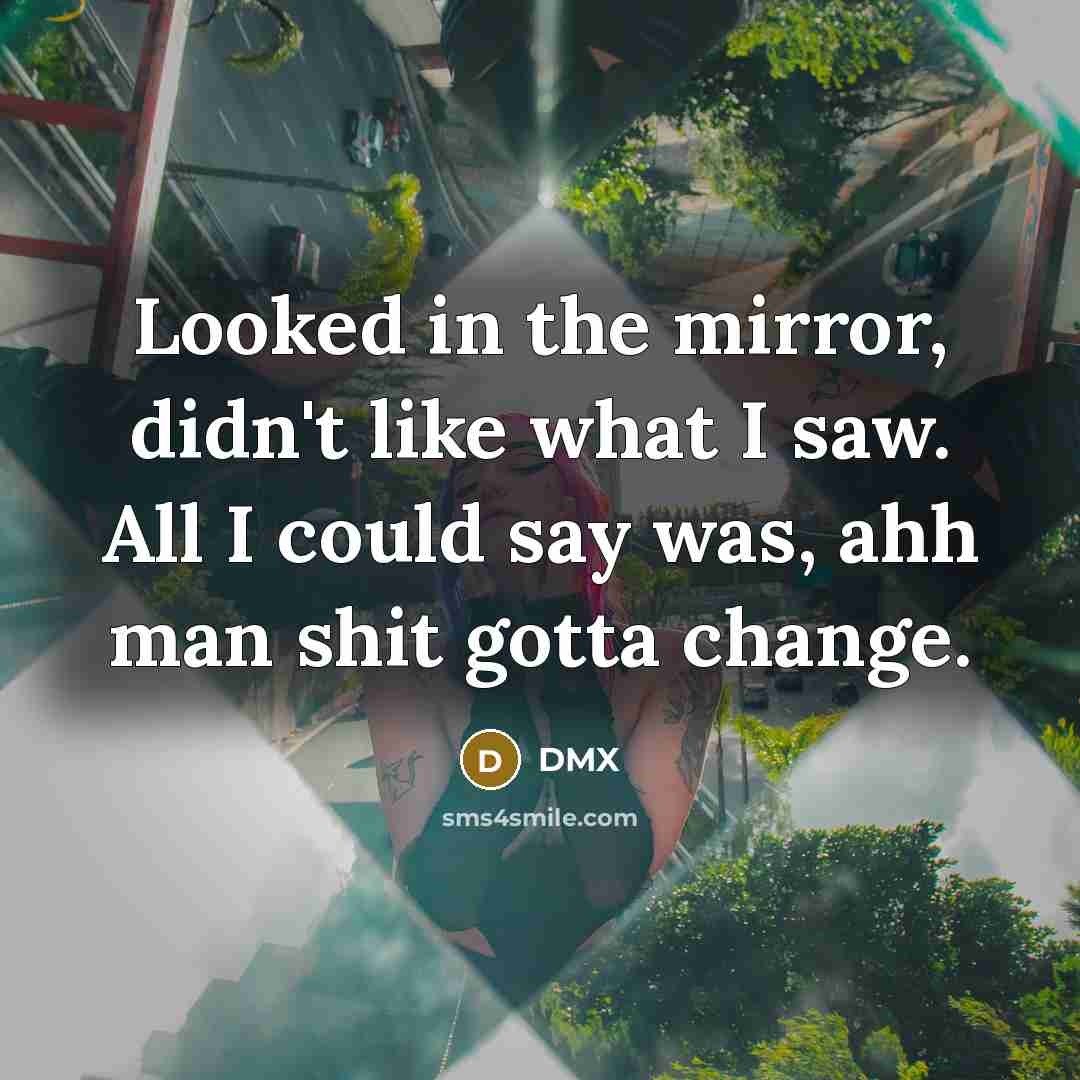 “Looked in the mirror, didn't like what I saw. All…” quote by Dmx