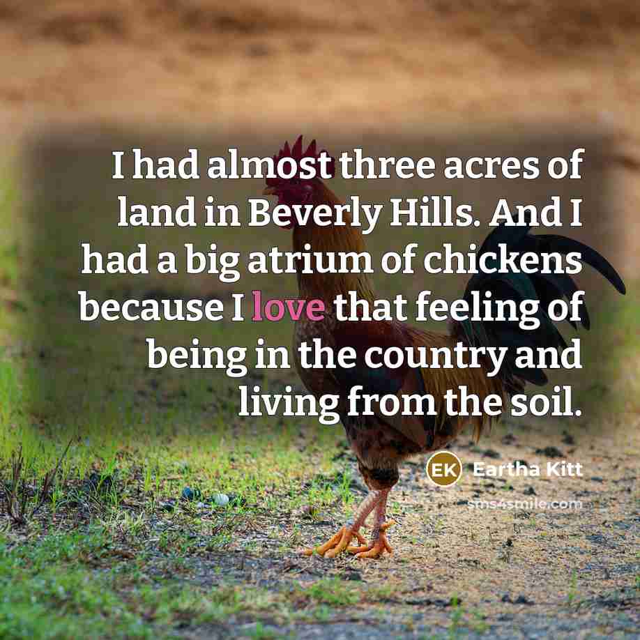 “I had almost three acres of land in Beverly Hills.…” quote by Eartha Kitt