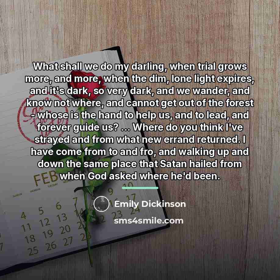 “What shall we do my darling, when trial grows more,…” quote by Emily Dickinson
