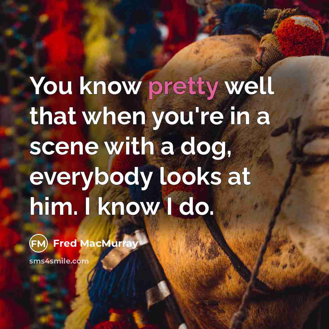 “You know pretty well that when you're in a scene with a dog, everybody looks at him. I know I do.” quote by Fred MacMurray