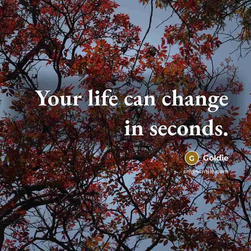 “Your life can change in seconds.…” quote by Goldie