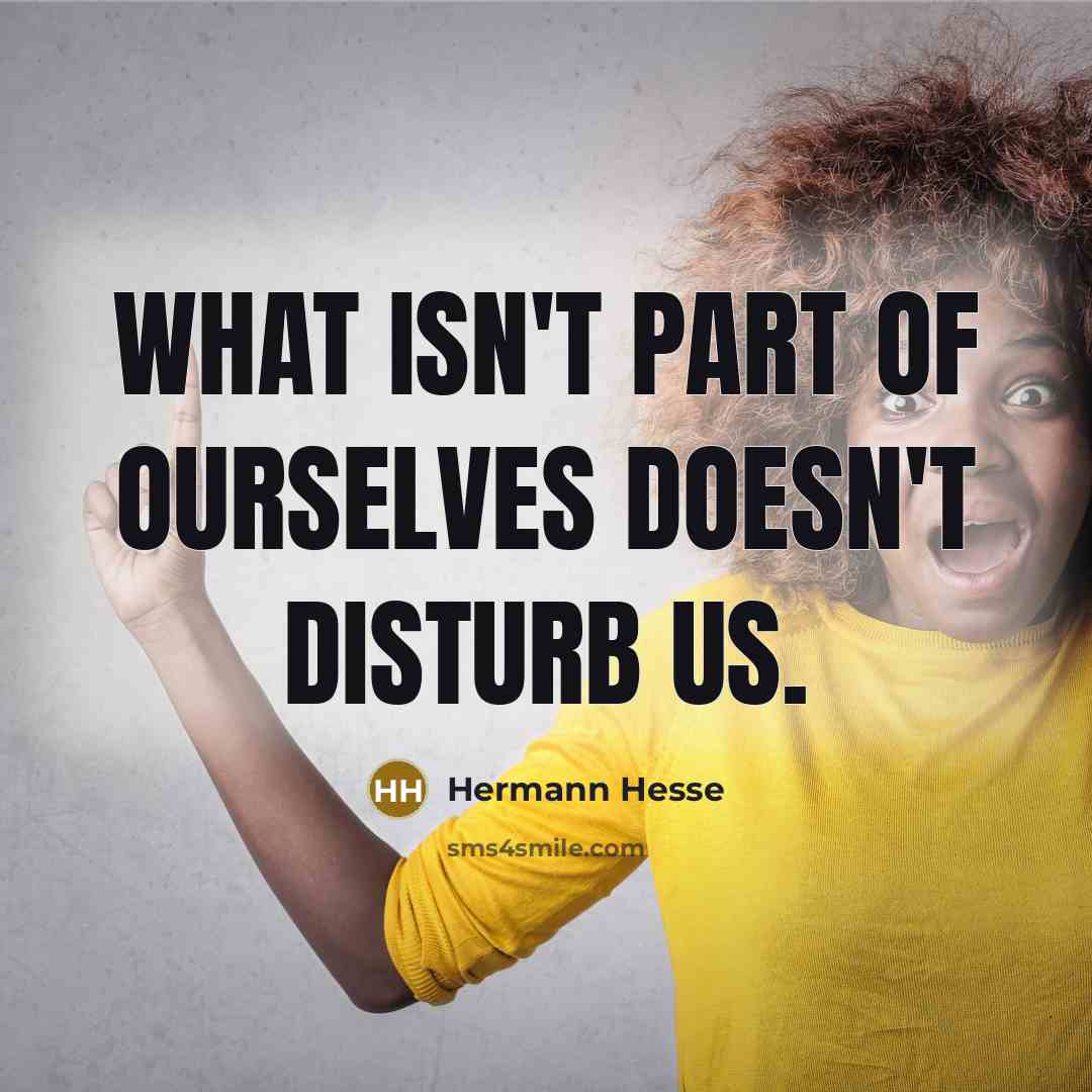 “What isn't part of ourselves doesn't disturb us.…” quote by Hermann Hesse