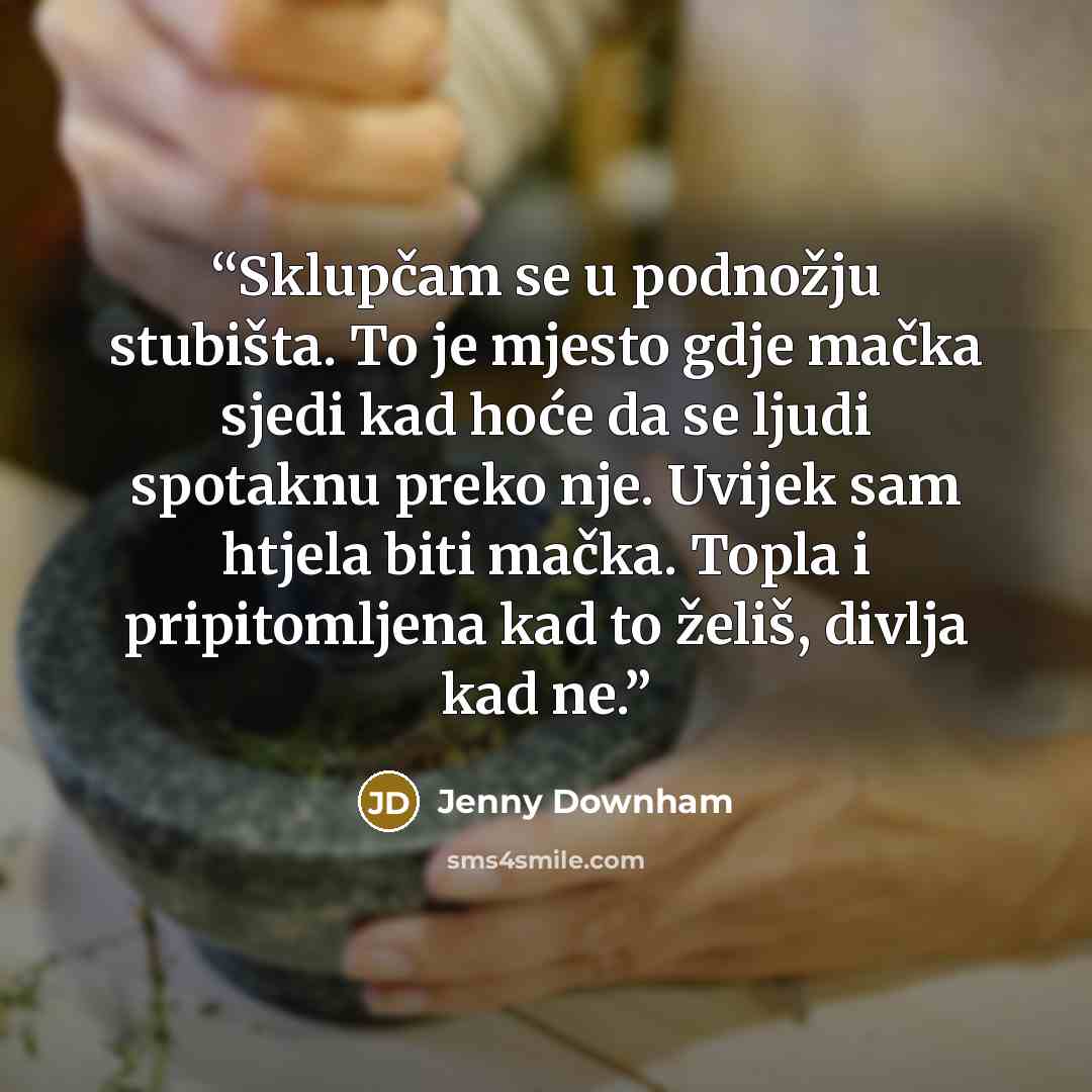 “Sklupčam se u podnožju stubišta. To je mjesto gdje mačka sjedi kad hoće da se ljudi spotaknu preko nje. Uvijek sam htjela biti mačka. Topla i pripitomljena kad to želiš, divlja kad ne.” quote by Jenny Downham
