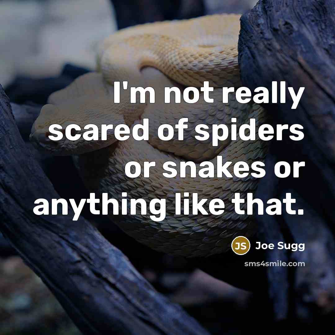 “I'm not really scared of spiders or snakes or anything…” quote by Joe Sugg