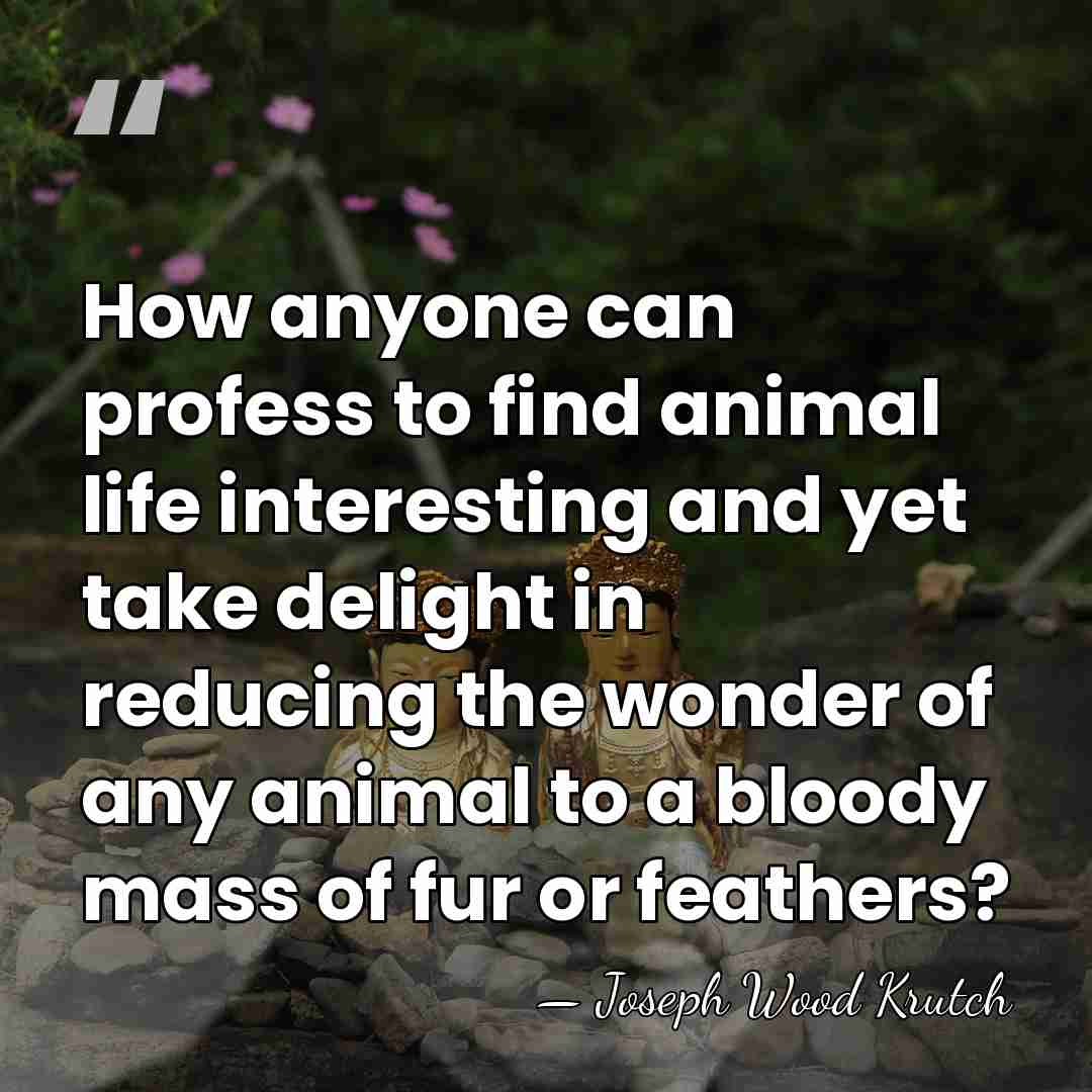 How anyone can profess to find animal life interesting and yet take&hellip; - Joseph Wood Krutch