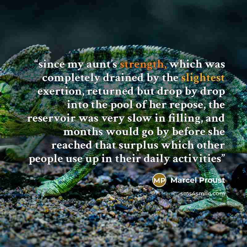 “since my aunt’s strength, which was completely drained by the slightest exertion, returned but drop by drop into the pool of her repose, the reservoir was very slow in filling, and months would go by before she reached that surplus which other people use up in their daily activities” quote by Marcel Proust