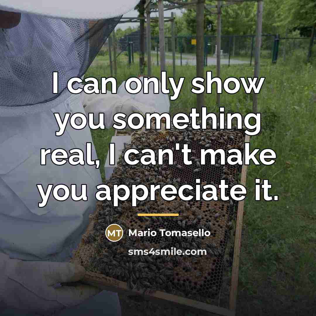 “I can only show you something real, I can't make…” quote by Mario Tomasello