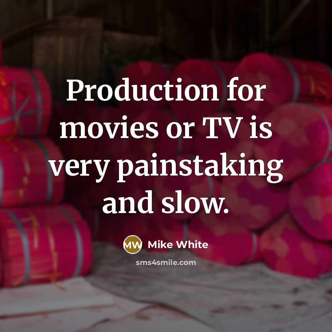 “Production for movies or TV is very painstaking and slow.…” quote by Mike White