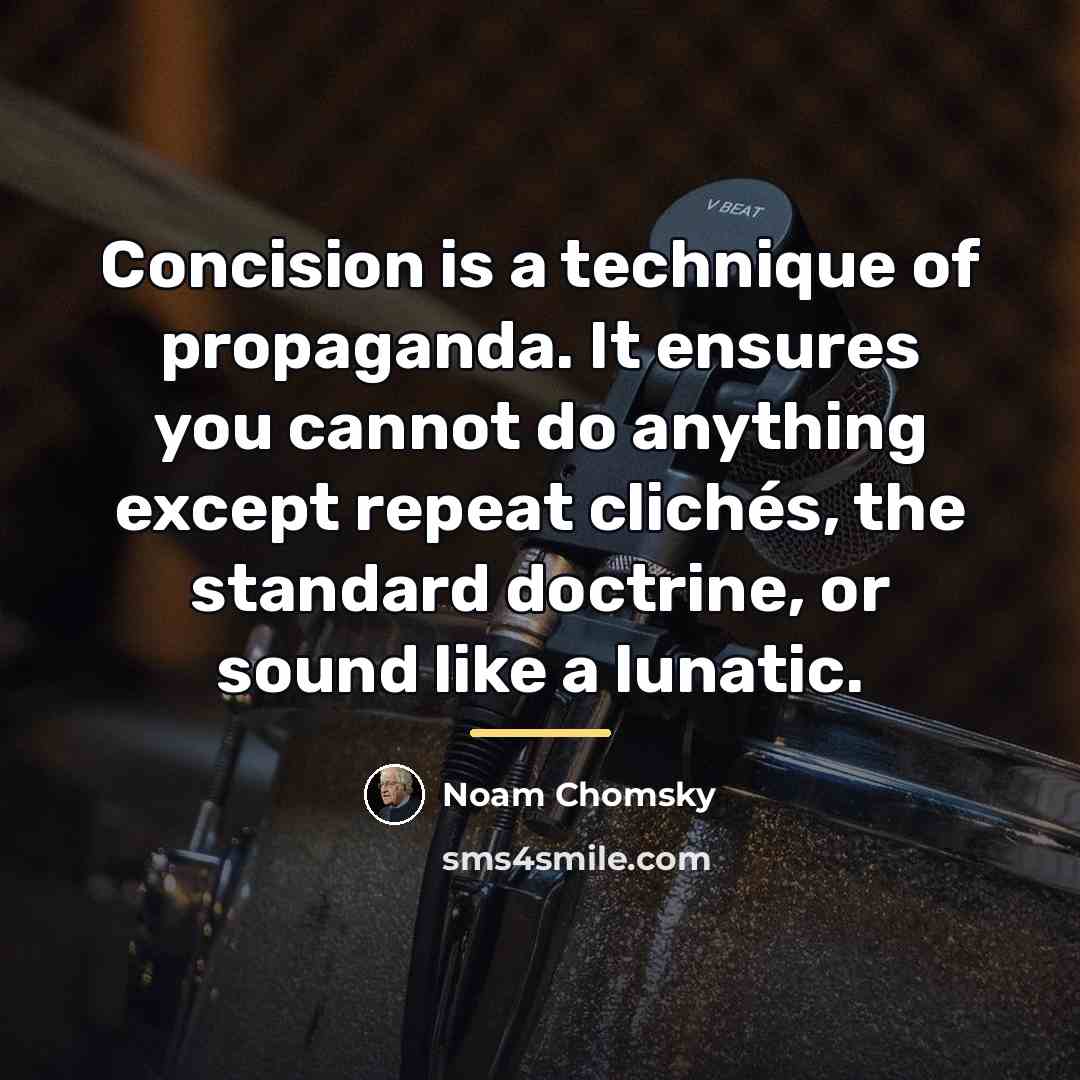 “Concision is a technique of propaganda. It ensures you cannot…” quote by Noam Chomsky