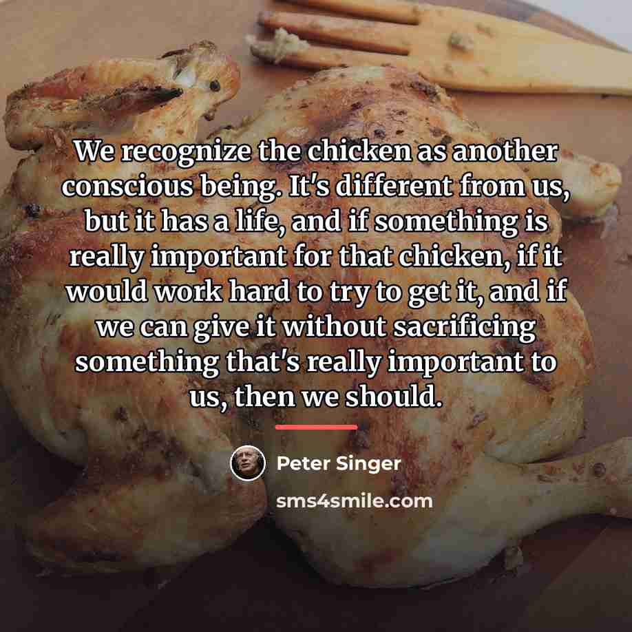 “We recognize the chicken as another conscious being. It's different…” quote by Peter Singer