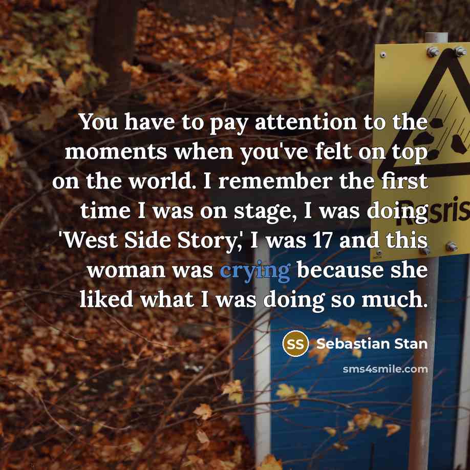 “You have to pay attention to the moments when you've…” quote by Sebastian Stan