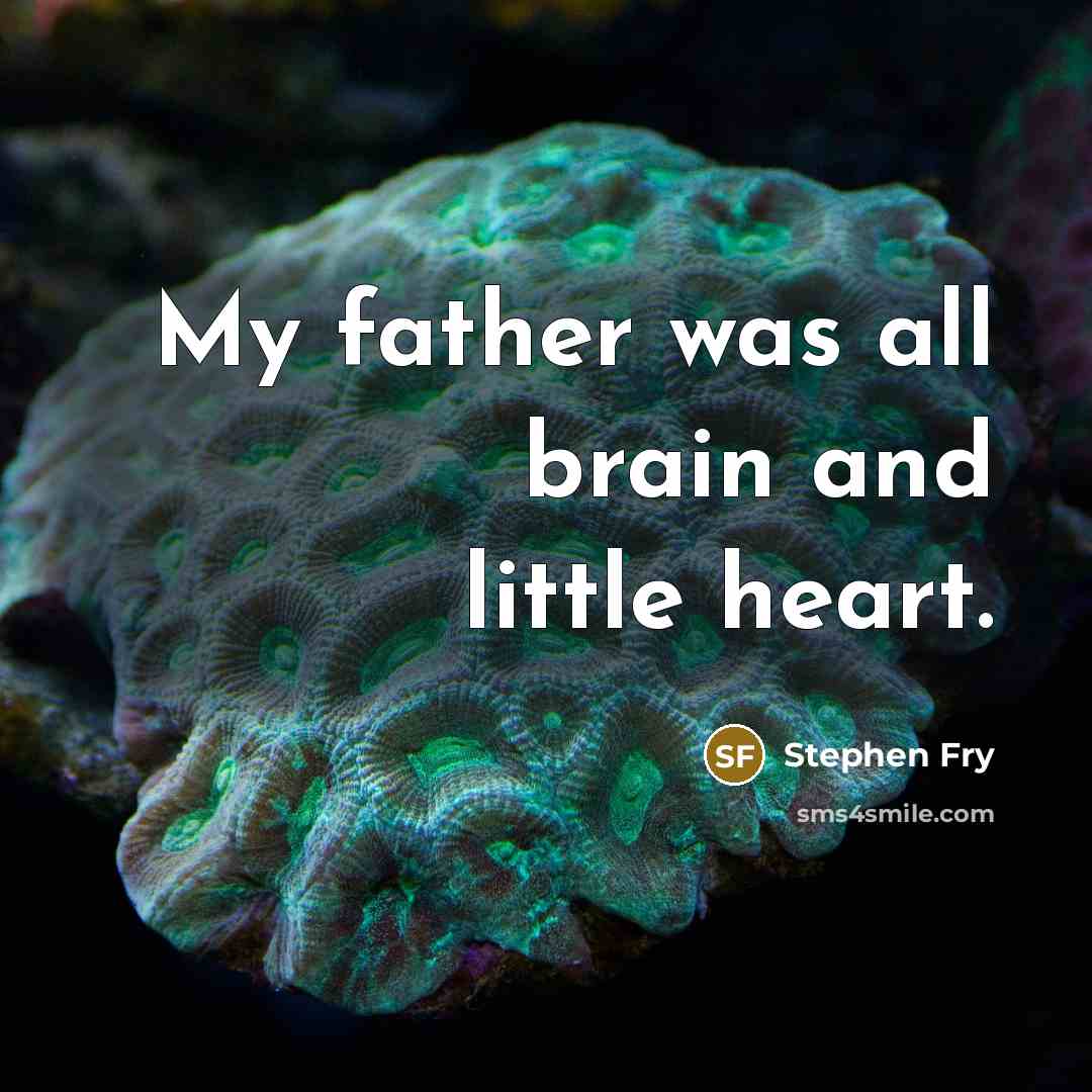 “My father was all brain and little heart.…” quote by Stephen Fry