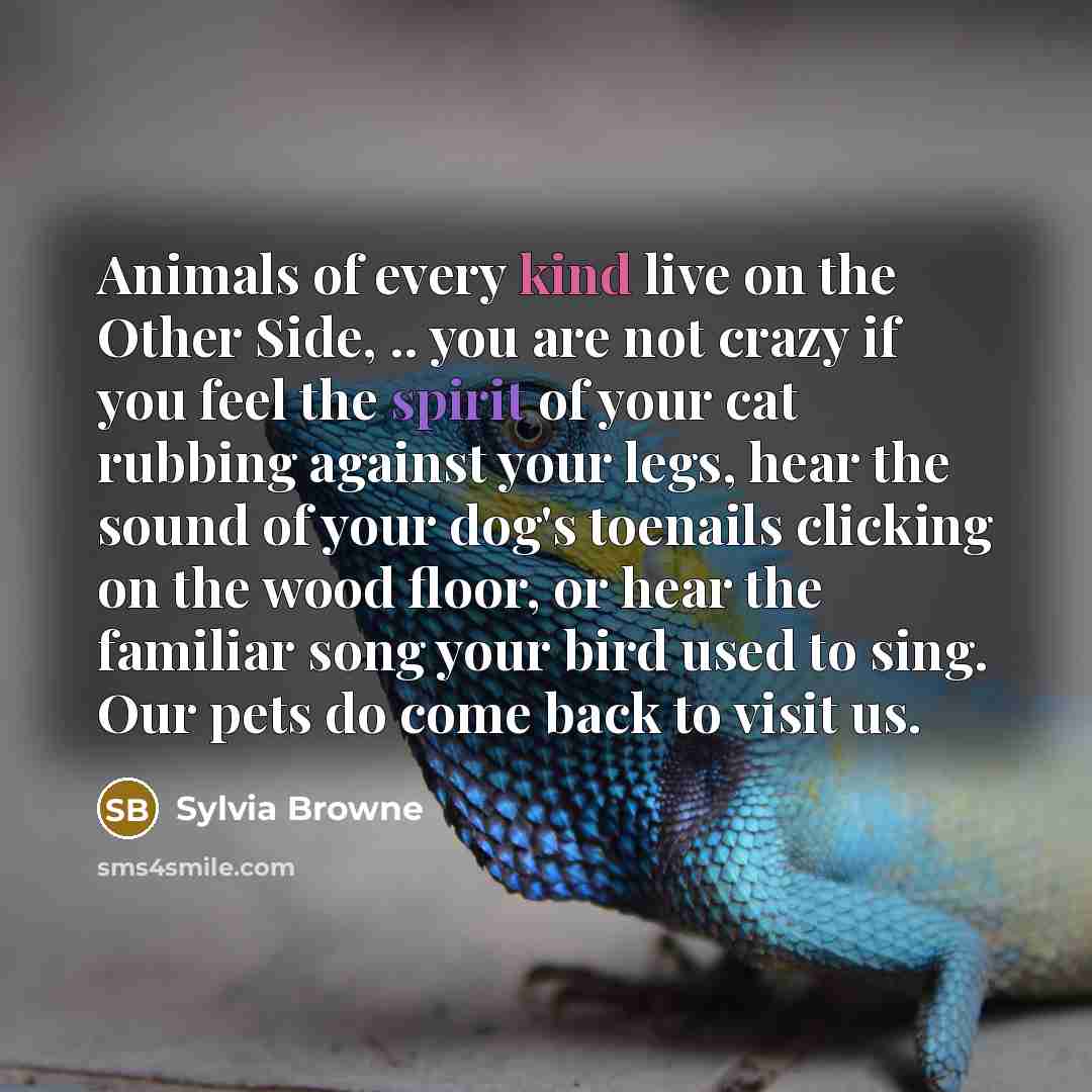 “Animals of every kind live on the Other Side, ..…” quote by Sylvia Browne