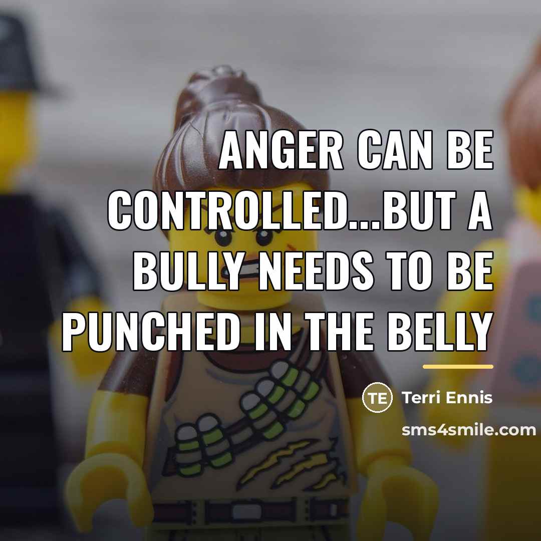 “Anger can be controlled...but a bully needs to be punched…” quote by Terri Ennis