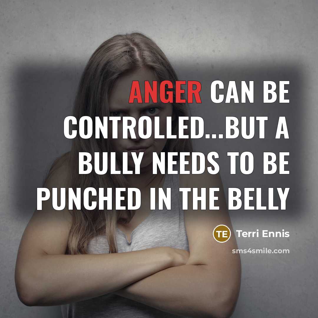 “Anger can be controlled...but a bully needs to be punched in the belly” quote by Terri Ennis