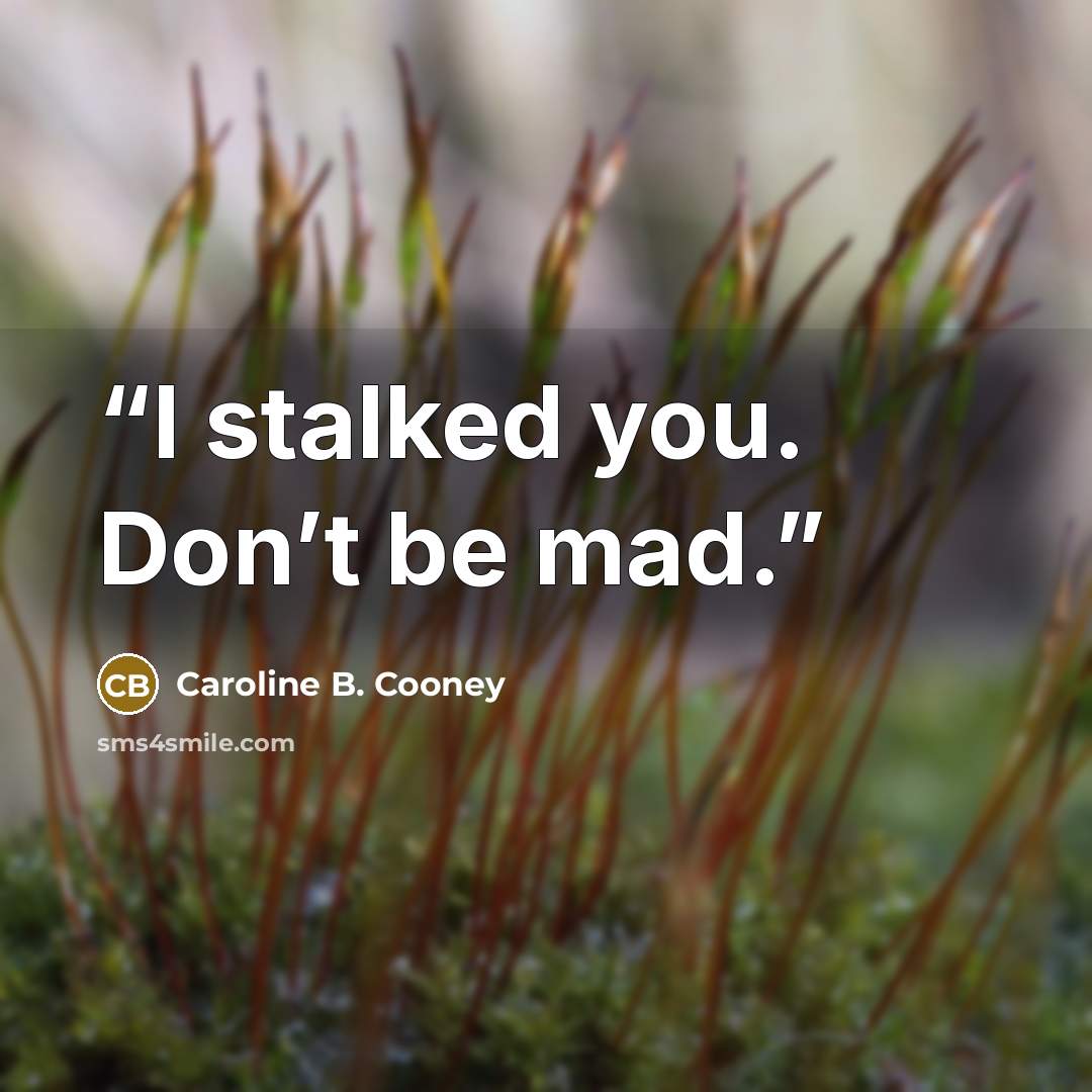 “I stalked you. Don’t be mad.” quote by Caroline B. Cooney