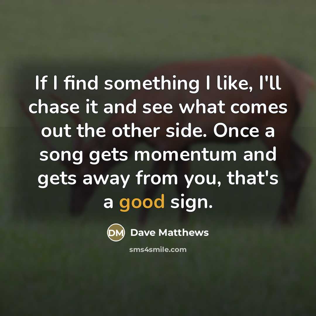 “If I find something I like, I'll chase it and…” quote by Dave Matthews
