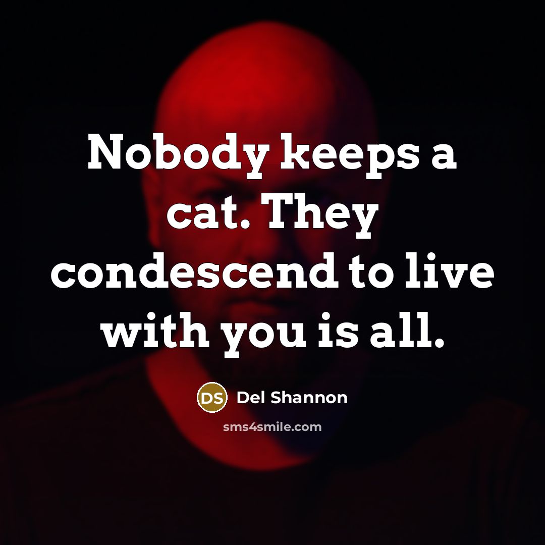 “Nobody keeps a cat. They condescend to live with you…” quote by Del Shannon