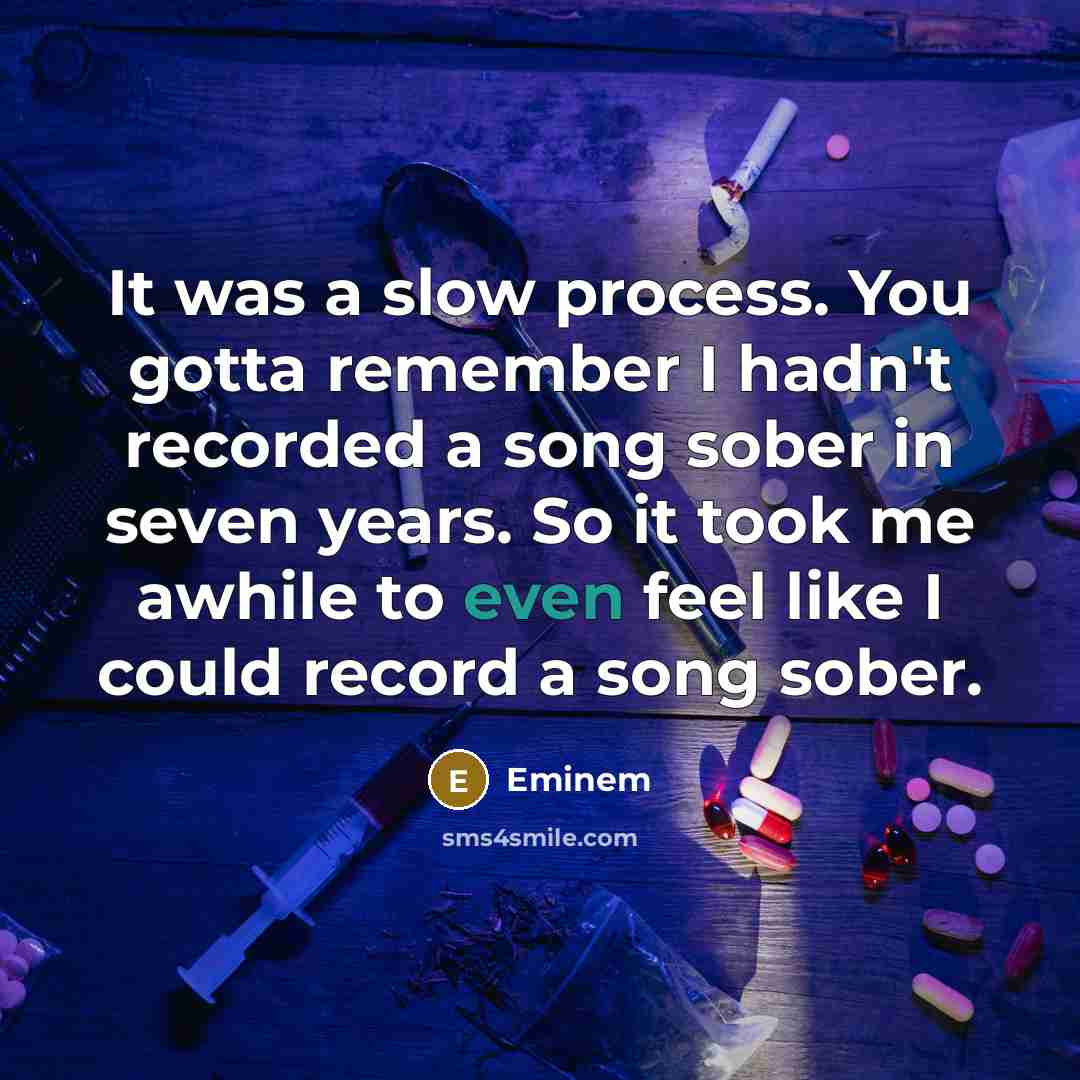 “It was a slow process. You gotta remember I hadn't…” quote by Eminem