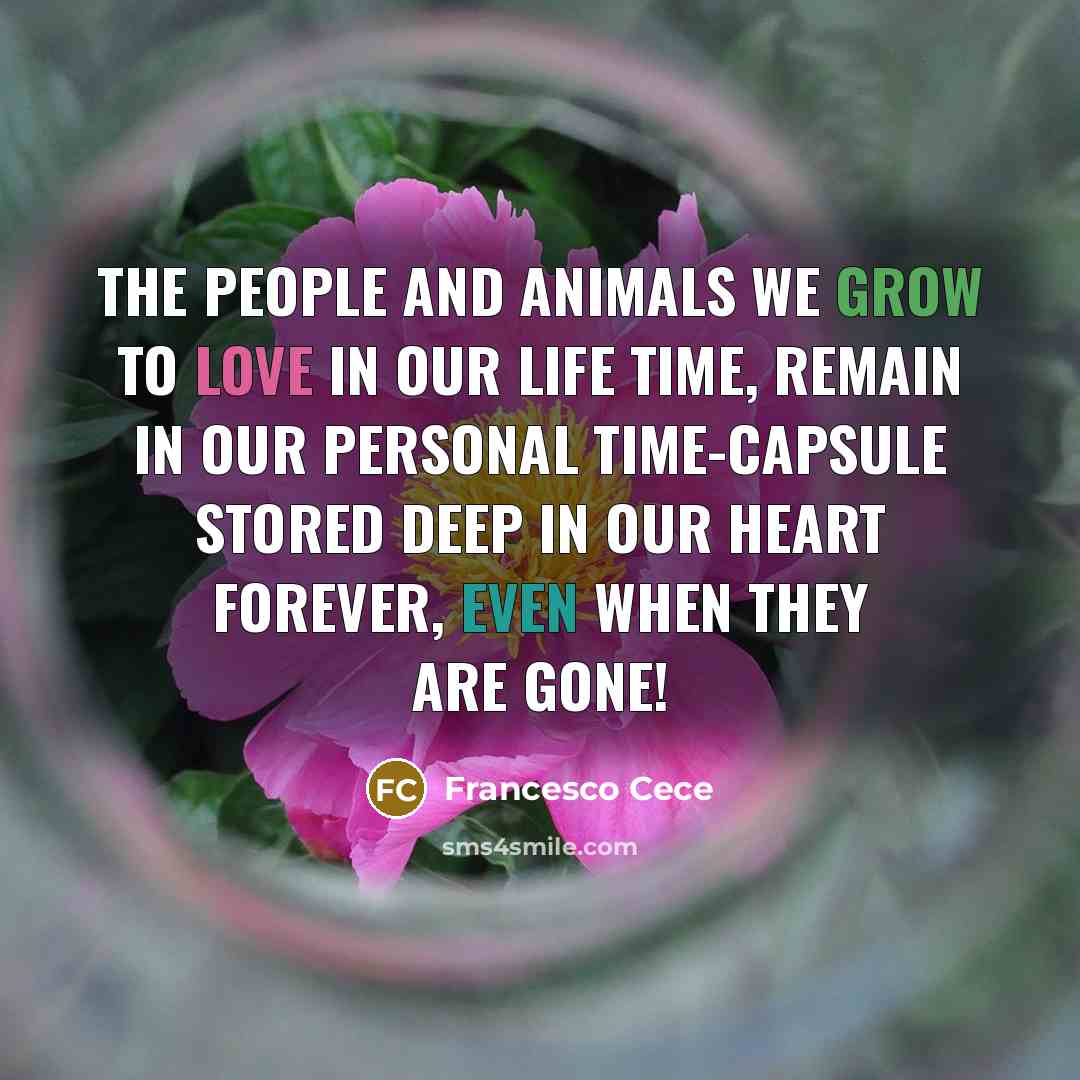 “The people and animals we grow to love in our…” quote by Francesco Cece