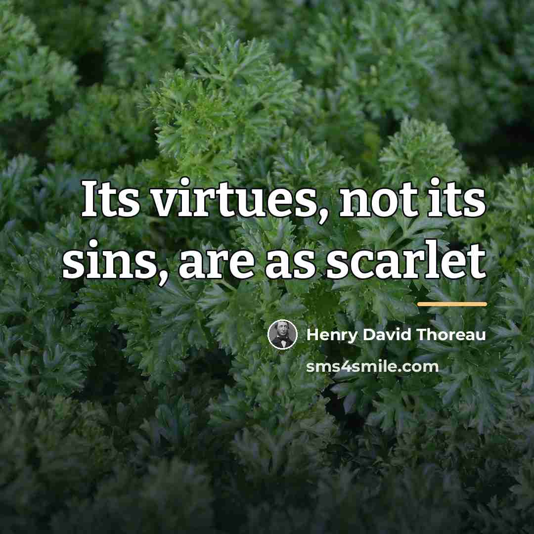 “Its virtues, not its sins, are as scarlet…” quote by Henry David Thoreau