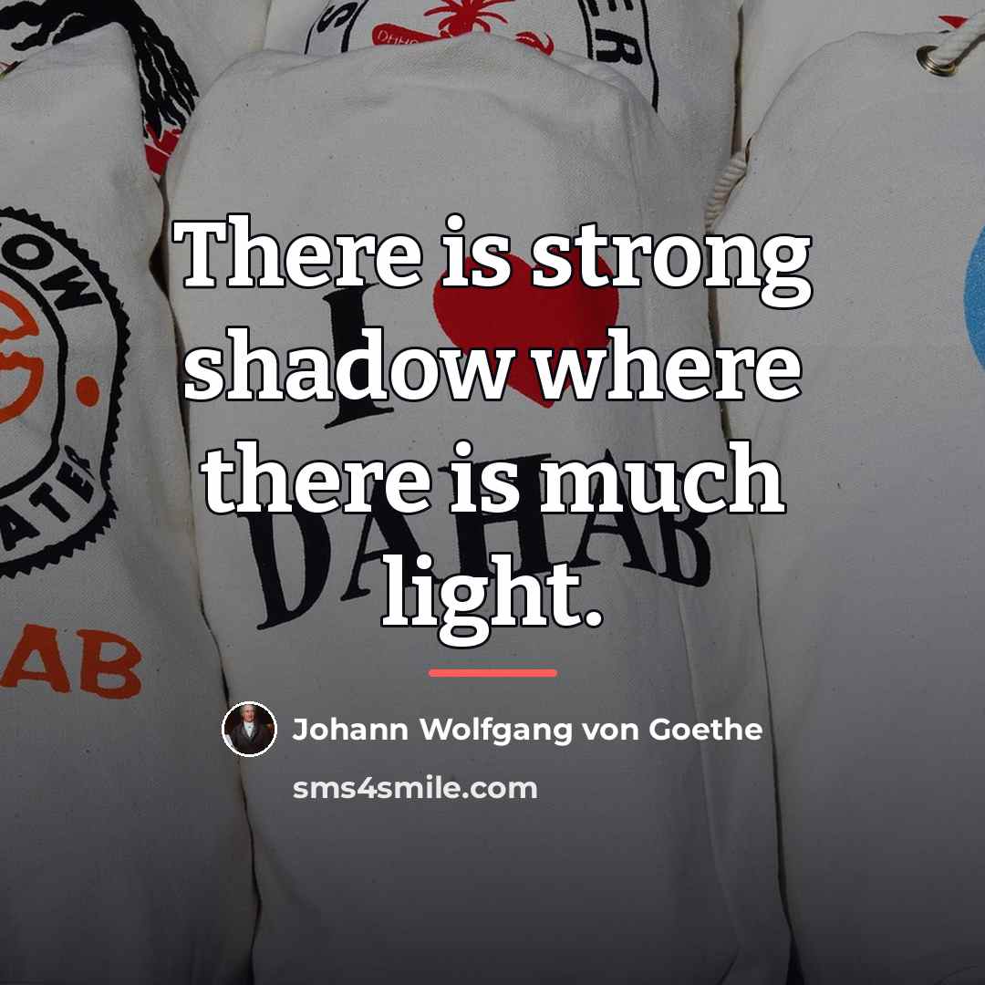 “There is strong shadow where there is much light.…” quote by Johann Wolfgang von Goethe