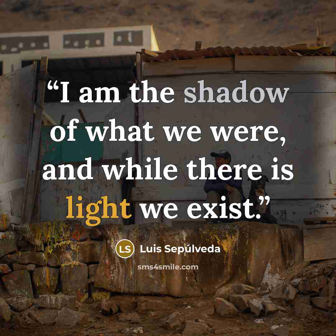 “I am the shadow of what we were, and while there is light we exist.” quote by Luis Sepúlveda