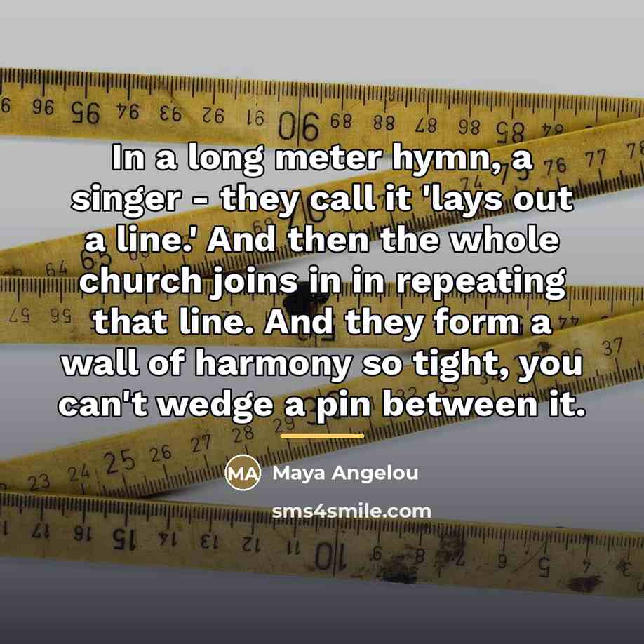 “In a long meter hymn, a singer - they call…” quote by Maya Angelou