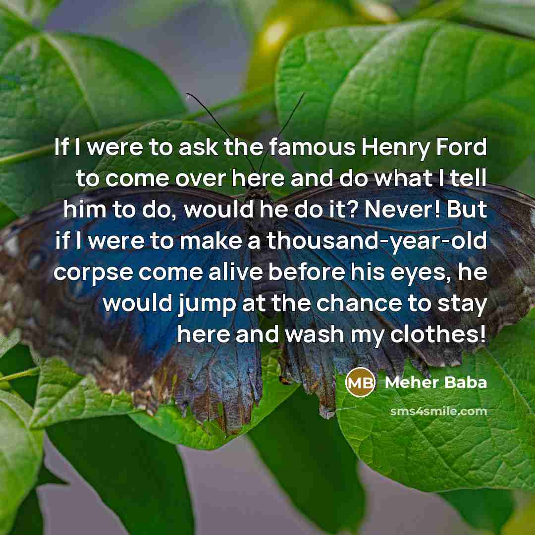 “If I were to ask the famous Henry Ford to…” quote by Meher Baba
