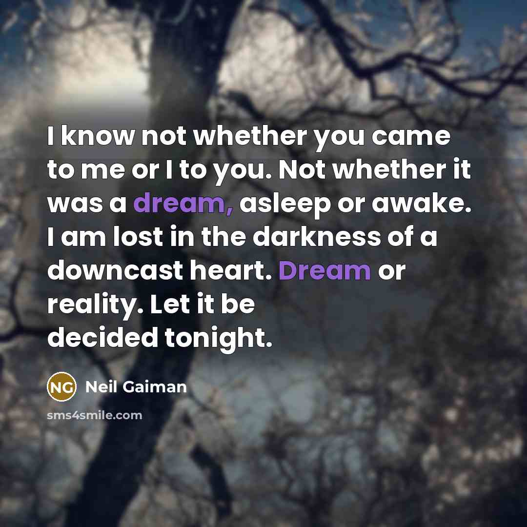 “I know not whether you came to me or I…” quote by Neil Gaiman