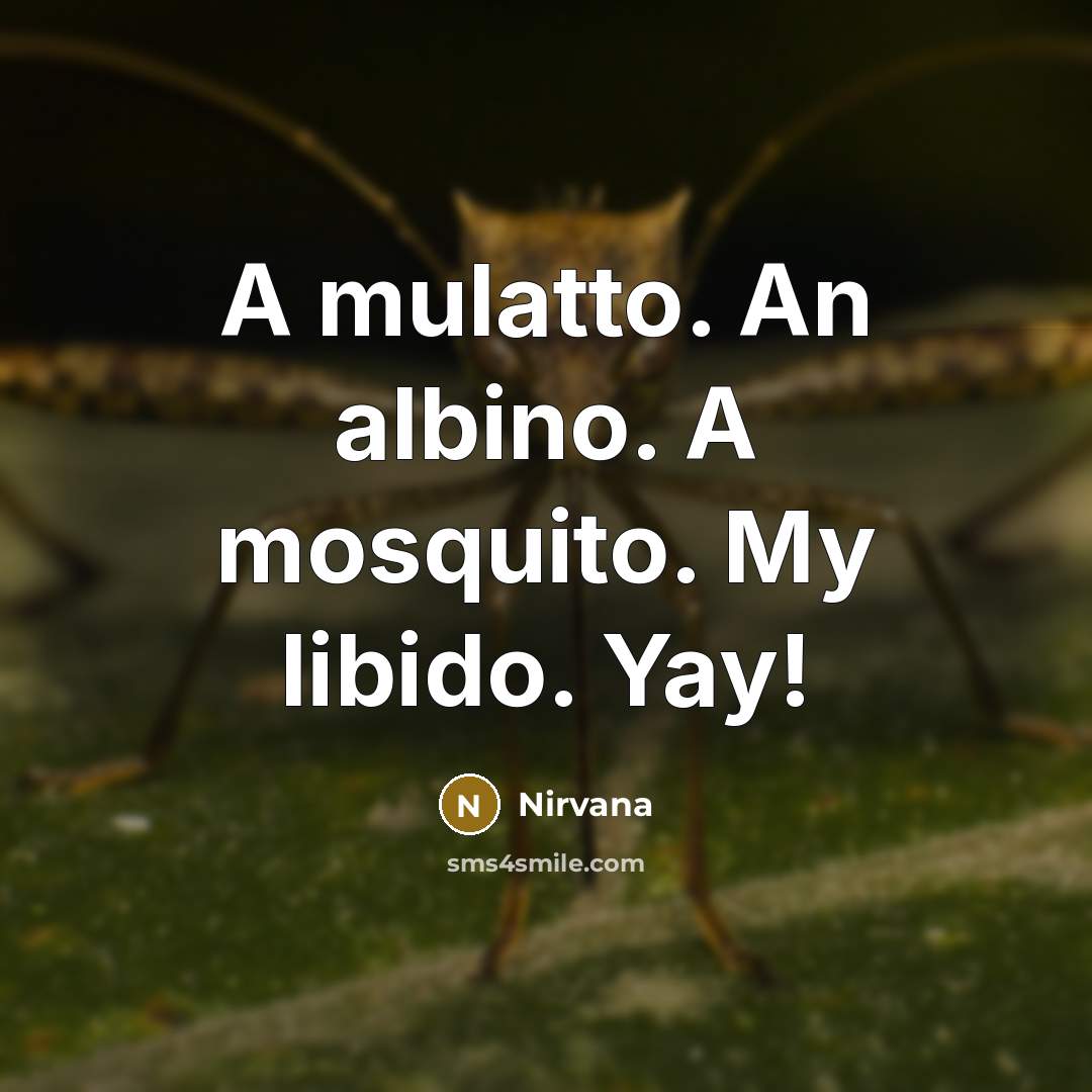 “A mulatto. An albino. A mosquito. My libido. Yay!…” quote by Nirvana