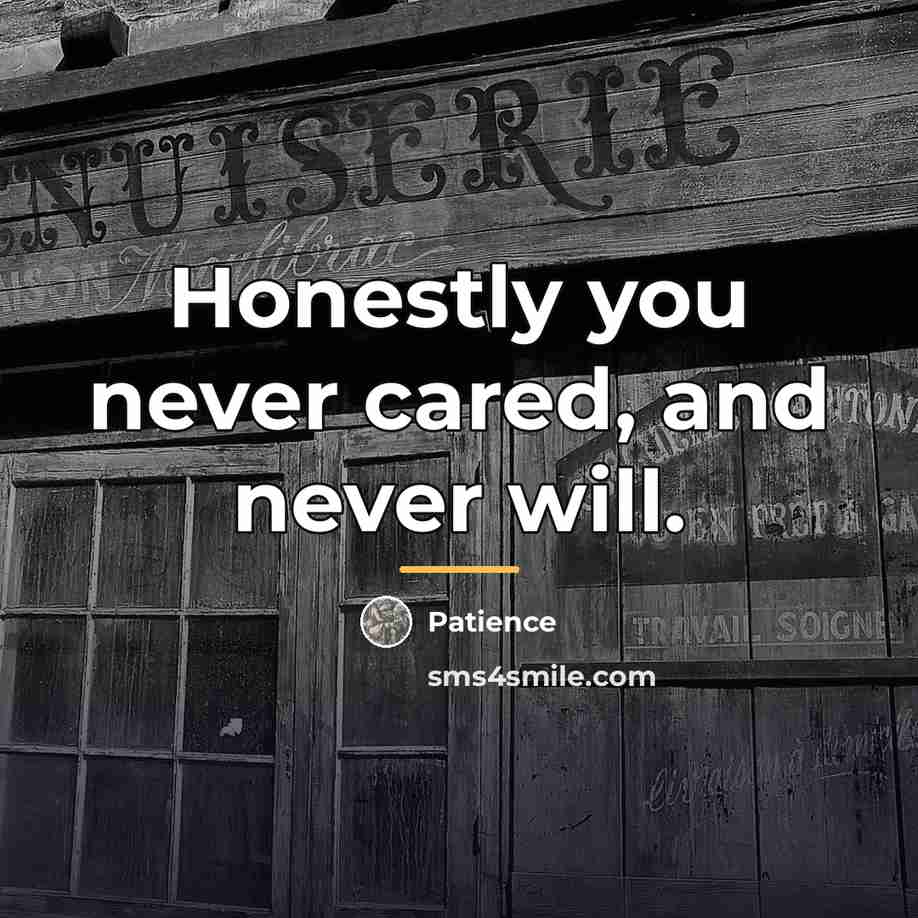 “Honestly you never cared, and never will.…” quote by Patience