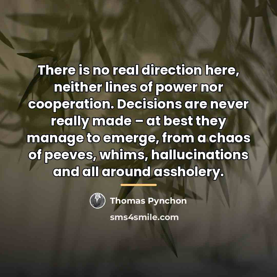 “There is no real direction here, neither lines of power…” quote by Thomas Pynchon