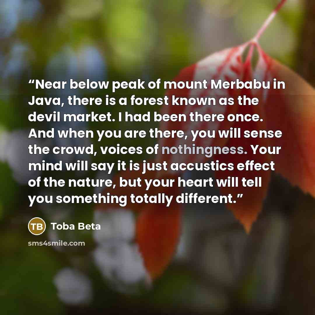 “Near below peak of mount Merbabu in Java, there is a forest known as the devil market. I had been there once. And when you are there, you will sense the crowd, voices of nothingness. Your mind will say it is just accustics effect of the nature, but your heart will tell you something totally…” quote by Toba Beta