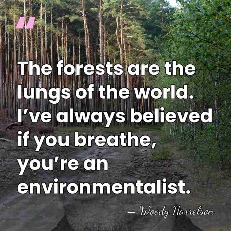 The forests are the lungs of the world. I’ve always believed if&hellip; - Woody Harrelson
