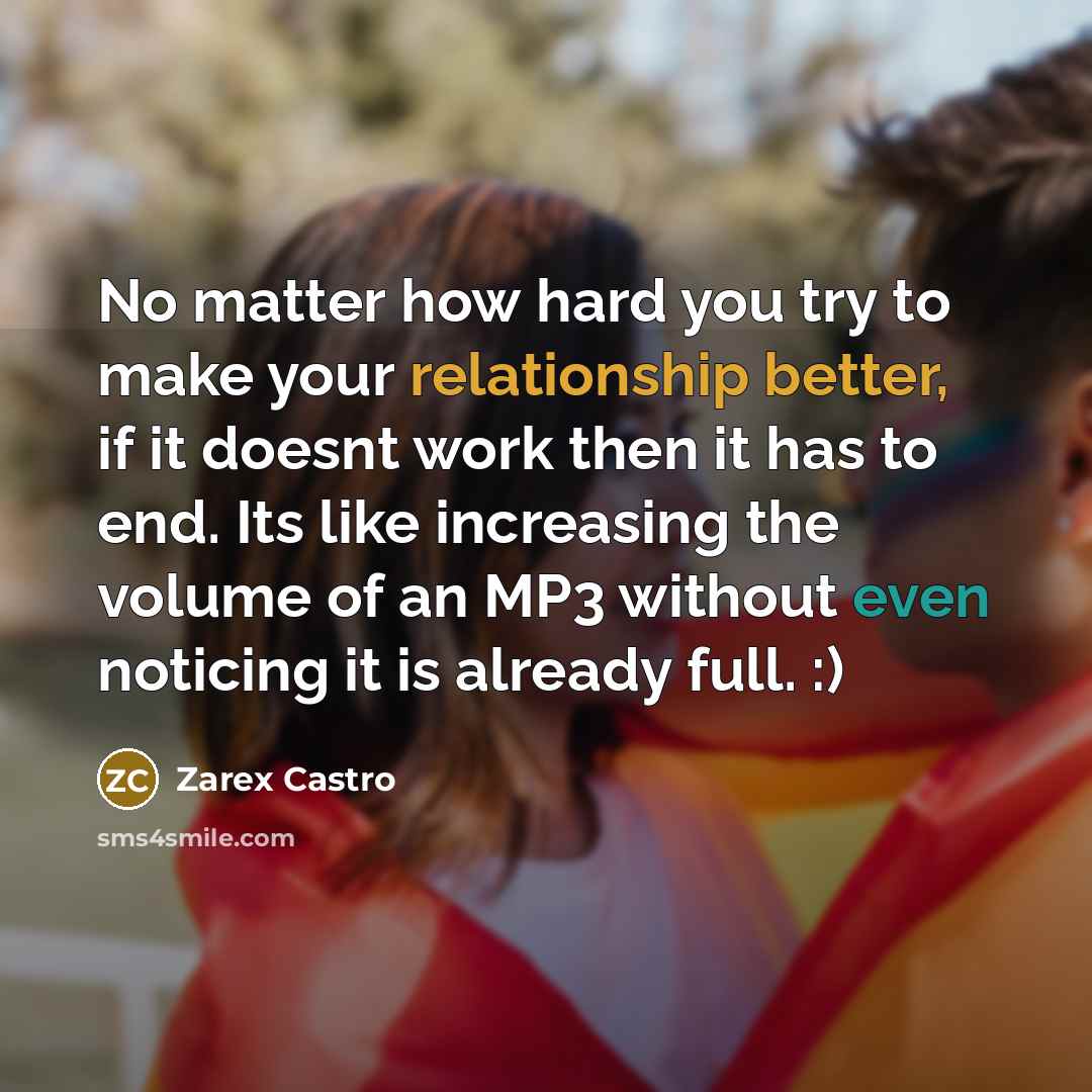 “No matter how hard you try to make your relationship better, if it doesnt work then it has to end. Its like increasing the volume of an MP3 without even noticing it is already full. :)” quote by Zarex Castro
