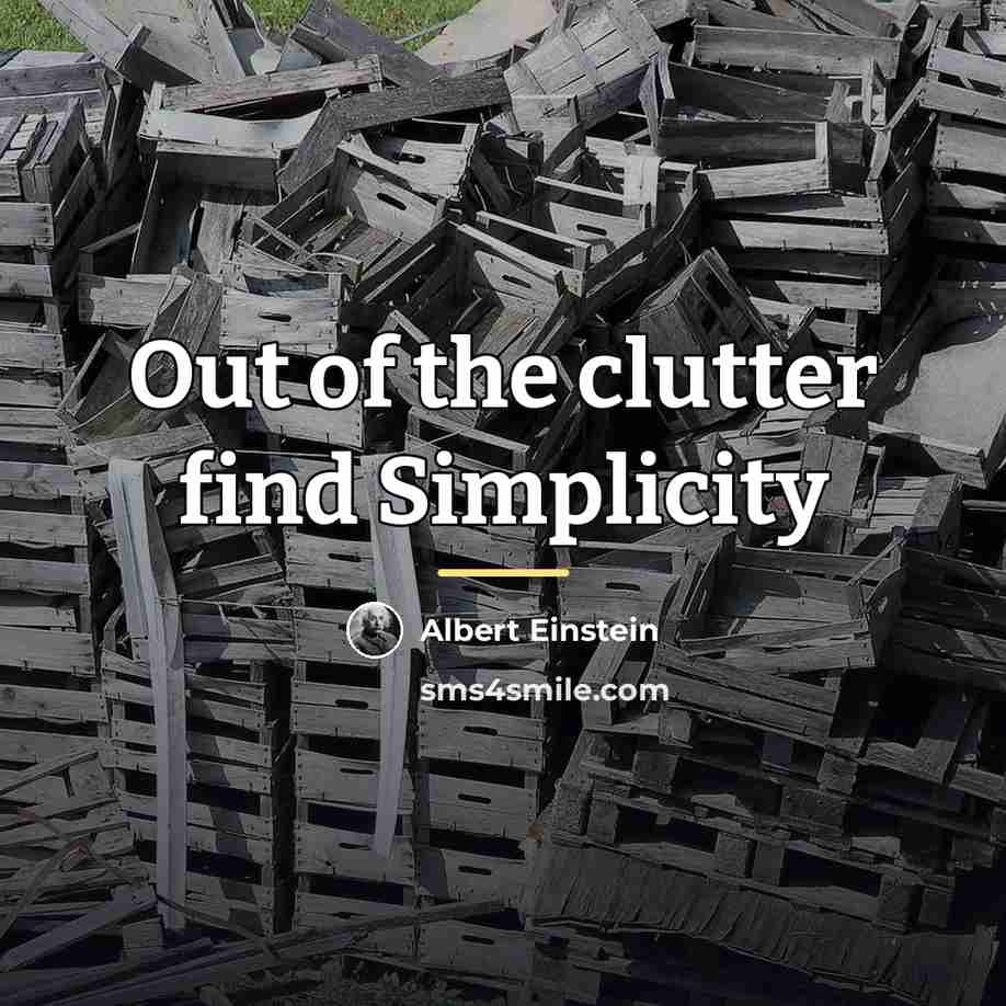 “Out of the clutter find Simplicity…” quote by Albert Einstein