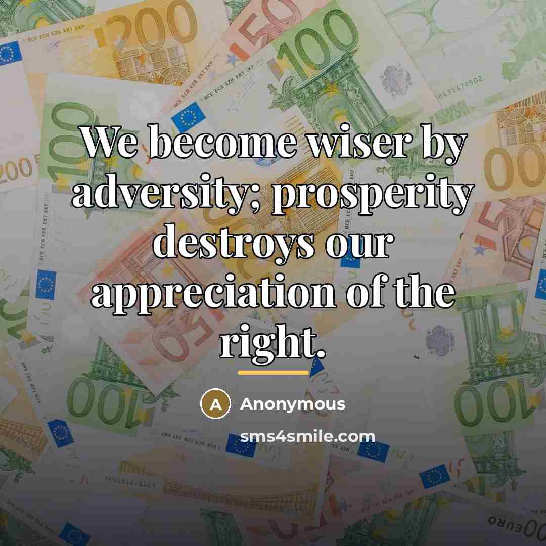 “We become wiser by adversity; prosperity destroys our appreciation of…” quote by Anonymous