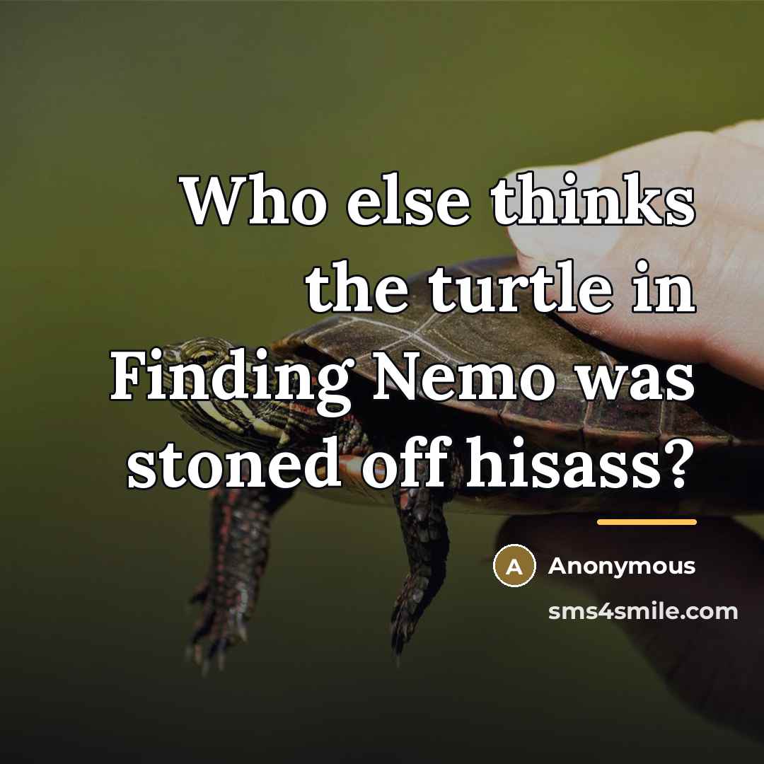 “Who else thinks the turtle in Finding Nemo was stoned…” quote by Anonymous