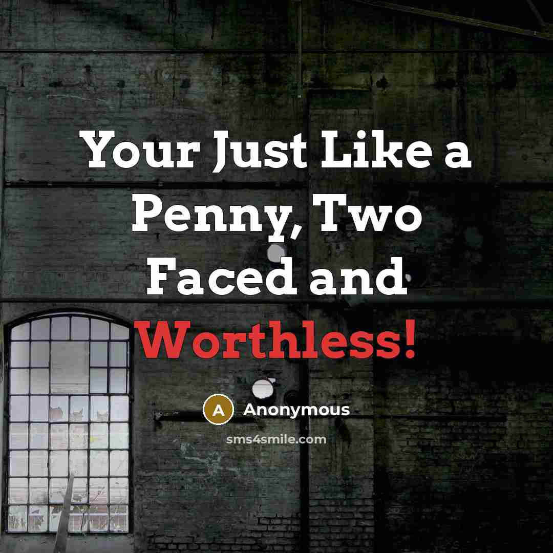 “Your Just Like a Penny, Two Faced and Worthless!…” quote by Anonymous